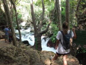 The Banias... - family trip