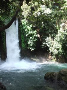 ...the Banias fall. - family trip