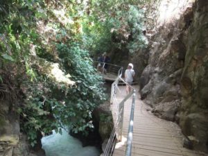 ...the Banias hanging bridge...