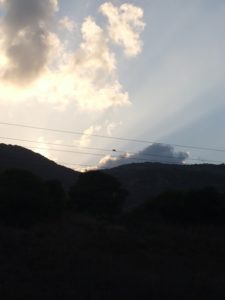 Just before I got back to Haifa, I caught those two birds with the Carmel mountain and the sunset rays as a background :-)