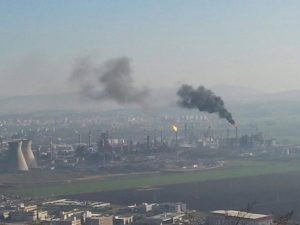 Haifa bay pollution (Source: phc)- sickness