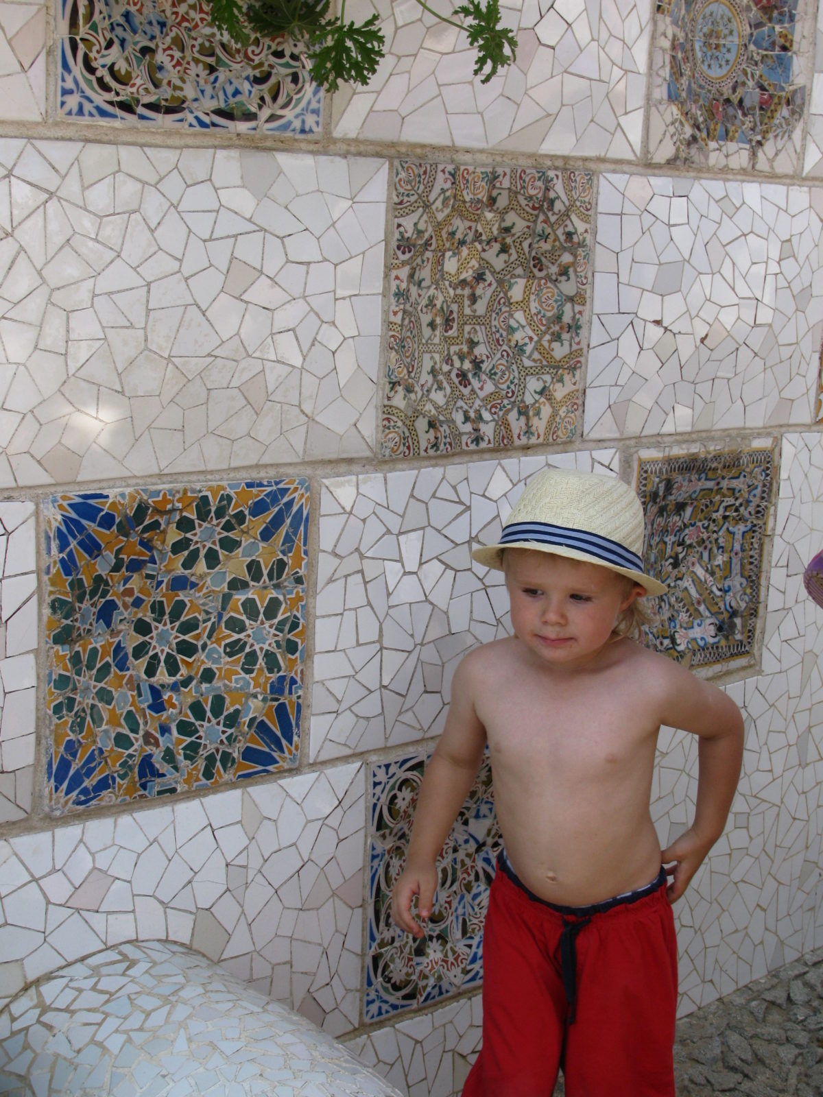 August 21th 2011 – Spain – Grow