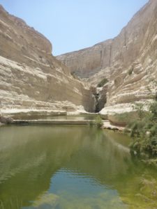 The waterfall and the pond =) - Ein Ovdat