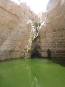 As close as you can get to this refreshing stream of water in the middle of the desert. - Ein Ovdat