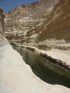 Looking back from the pond to the canyon. - Ein Ovdat
