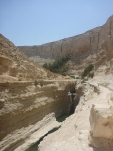 Heaven - Ein Ovdat waterfall from above - Ein Ovdat