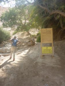 Basically, the round trail stops here and you have to go back to the car unless you have a car waiting for you on top of the rock - Ein Ovdat