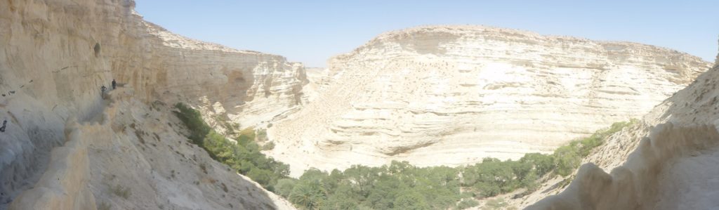 The view of the canyon from the middle of the cliff. - Ein Ovdat