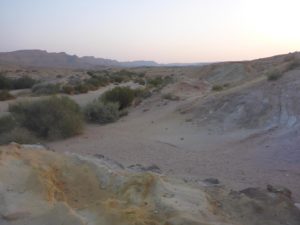 We decided to sleep on the stream that goes out of the Big Maktesh, that place called "Colorful sands" - you can guess why =)