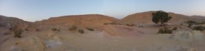 Looking South - The trees of the parking, the walls of the Makhtesh (Those called the Small Snapir (=flipper))