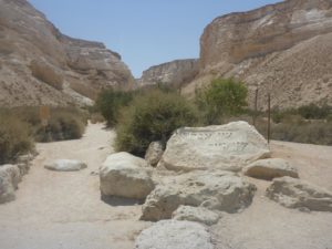 The entrance to Ein Ovdat Canyon.