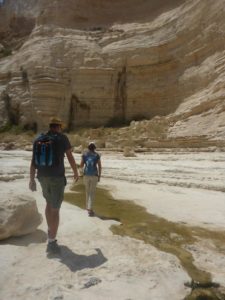 Water! in the middle of the desert! And there is more of it upstream - Ein Ovdat