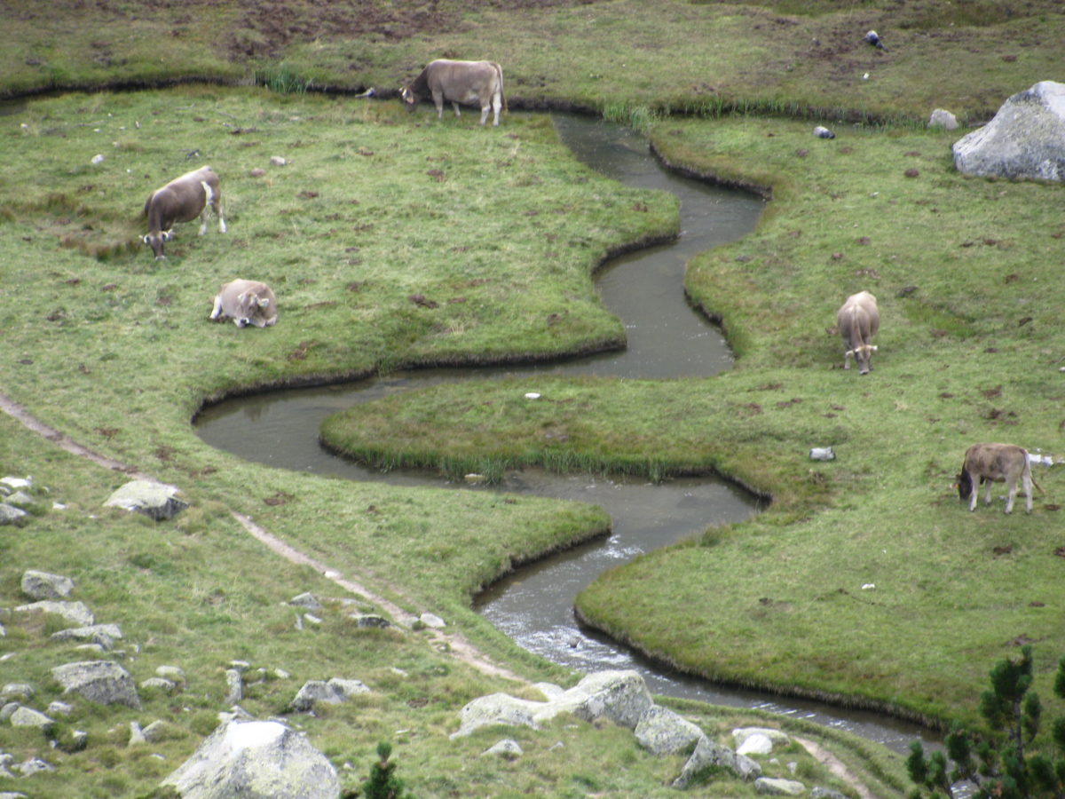 August 22th 2011 – Spain – Cuteness