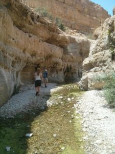 ...But then you get to the stream =) - Ein Gedi