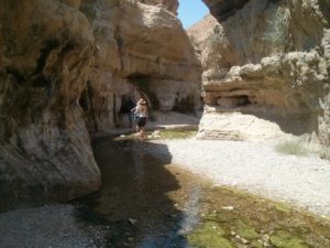 ...But then you get to the stream =) - Ein Gedi