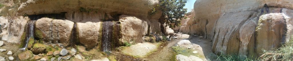 And find yourself in front of special springs like that - Ein Gedi