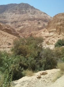 and High mountains - Ein Gedi