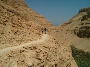 In the middle of the desert - Ein Gedi