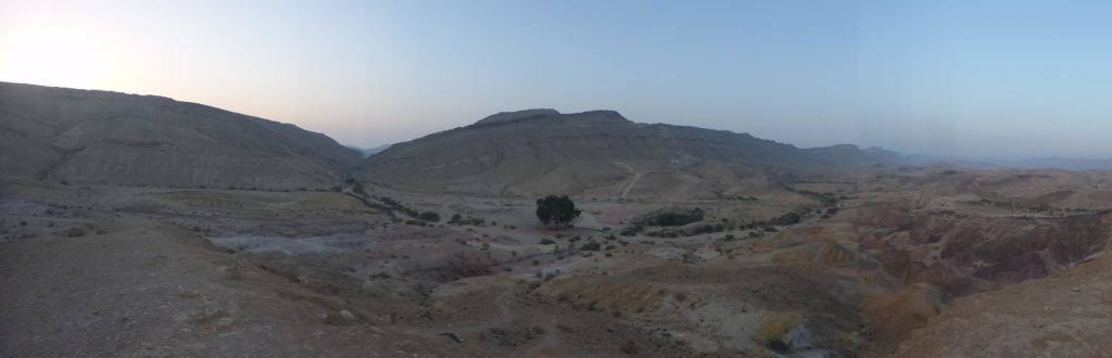 Good morning! - Ein Gedi