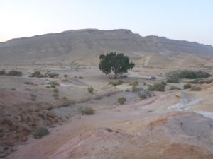 Good morning! - Ein Gedi