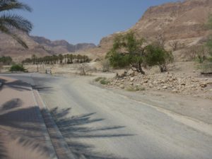 And we are in Ein Gedi! after 2 hours of driving....