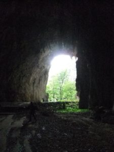 The exit of Škocjanske cave (we are at the bottom of the hole you can see two pictures up)