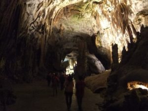 From inside the cave