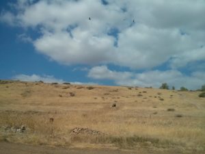 Now we play 'hide and seek' - looking for the route of train going down from Beit She'an.