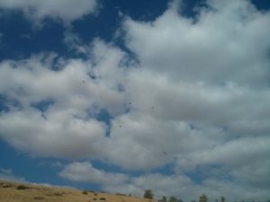 Now we play 'hide and seek' - looking for the route of train going down from Beit She'an.