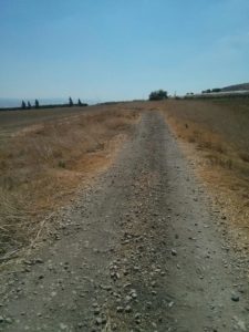 The railway route crossing the access road to Newe Ur (looking North and South) valley railway 2