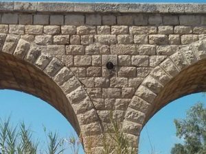 The railway bridge over Tavor stream. - valley railway