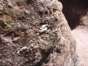 A close-up on the rock (Scoria) and the Mica mineral inside it - Monolithic Churches