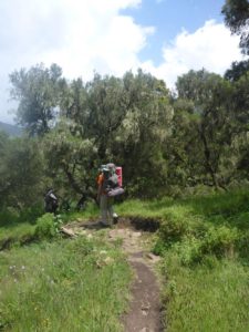 The mule carrying the food, tents, sleeping bags, etc. - Semien Mountains