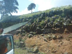 Baboons on the way to the Simien Mountains National Park