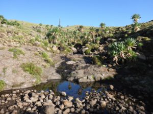 A small stream on the way up - squat 