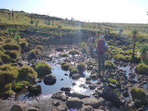 A small stream on the way up - squat 