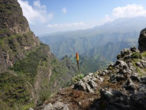 The red-orange-yellow flower on the edge of the cliff - squat 