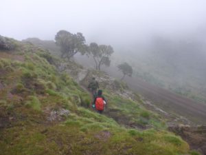 The end of the downhill trail, we can see the road!