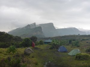 ... and the rest of tents on the campground