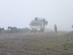 Local "Buses" - armed scout