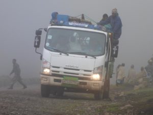 Local "Buses" - armed scout