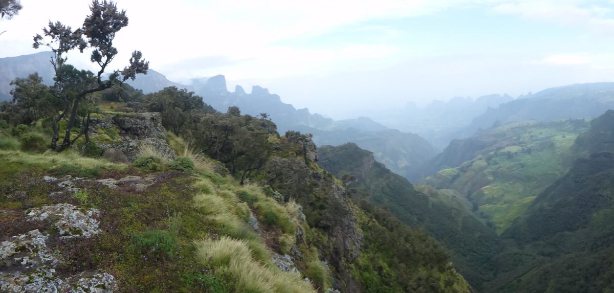 October 12, 2015 – Semien Mountains, Ethiopia