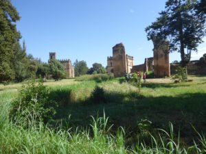 Inside Fasil Ghebbi