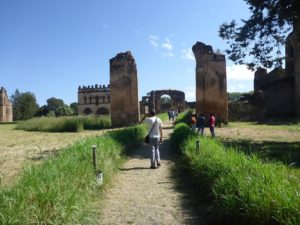 Inside Fasil Ghebbi