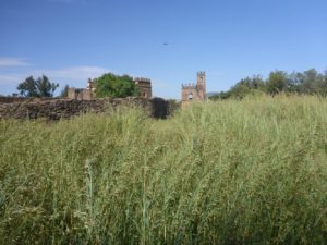 Inside Fasil Ghebbi