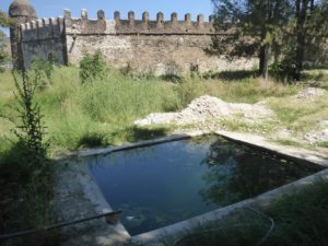 A pond outside - Fasil Ghebbi