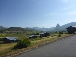 On the way to Bahir Dar - vegetable