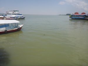 Tana Lake (the source of the Blue Nile) from Bahir Dar - vegetable