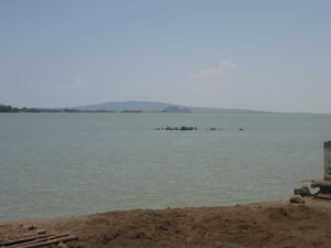 Tana Lake (the source of the Blue Nile) from Bahir Dar - vegetable