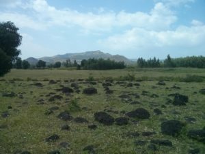 Sheep, goats and cows on the plain above the waterfalls